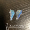 Butterfly Wings 001
