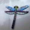 Lyn McKenzie - Dragonfly