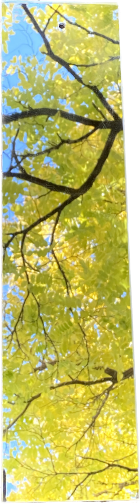 mirror panel