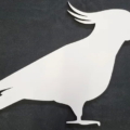 cockatoo