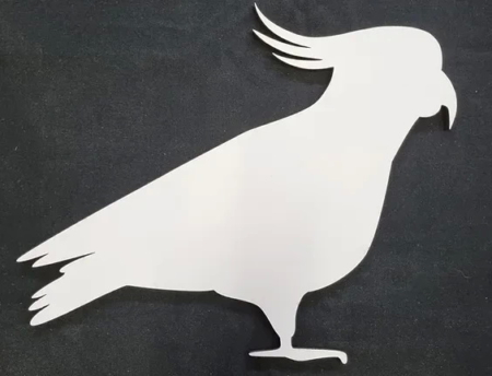 cockatoo
