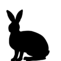 Rabbit,And,Hare,Silhouettes,On,White,Background