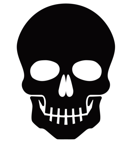 Skull,Vector,Icon
