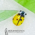 Ladybird 4 (2)