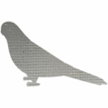 Loriinae,Parrot,In,Cartoon,Style,On,White,Background.,Vector,Hand