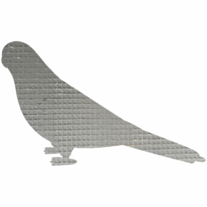 Loriinae,Parrot,In,Cartoon,Style,On,White,Background.,Vector,Hand