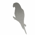 MM1030 Parrot on a branch TS