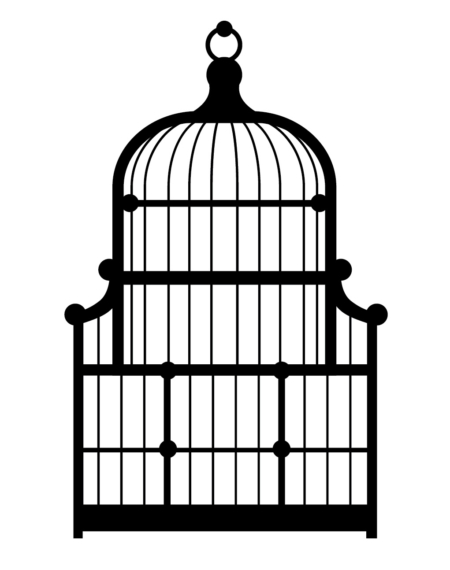 MM1210-Birdcage-2