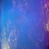 Dichroic Film Blue-Pink 1