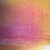 Dichroic Film Red-Yellow 2