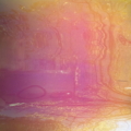 Dichroic Film Red-Yellow 2