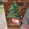 2023-11-12 Amandas tree closeup