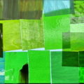 rainforest mystery sq