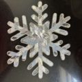 2023-11-12 Snowflake closeup