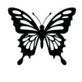 Set,Of,Butterfly,Silhouette,Vector,Illustrations,On,A,White,Background.