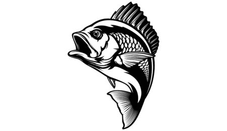 Red,Snapper,Isolated,Vector,Illustration.,Fishing,Logo,Of,Red,Snapper.