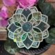 Ali Howson - Tulip Mandala