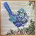 Splendid Fairy Wren with Geraldton Wax
