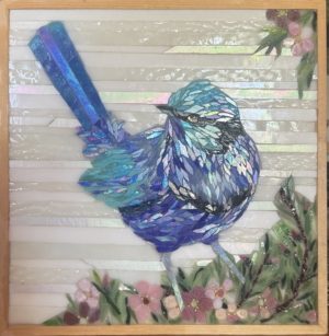 Splendid Fairy Wren with Geraldton Wax