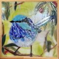 Splendid Fairy Wren with Gum Blossom