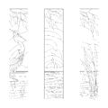 MM1560-Crane-Composite-LINE-scaled
