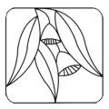 MM1610 - Gum Leaves.BW