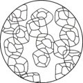 MM1730 - Irregular Rings Round.BW