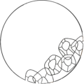 MM1730a - Irregular Rings - Round simple BW