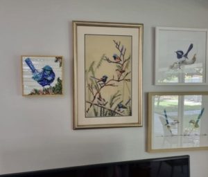 BFairy Wren with Geraldton Wax in Situ
