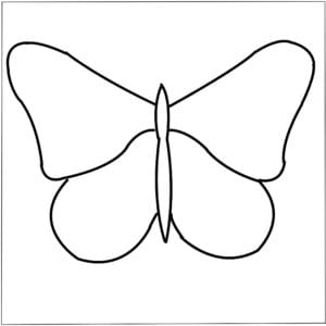 The Butterfly Effect Pack (makes 3) - Image 2