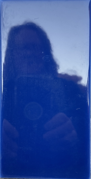 Johnson Tiles - English Made - Delphinium