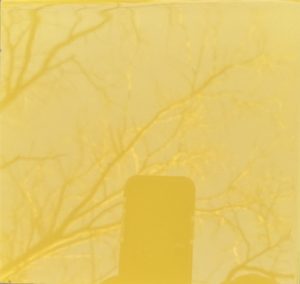 Johnson Tiles - English Made - Sunflower