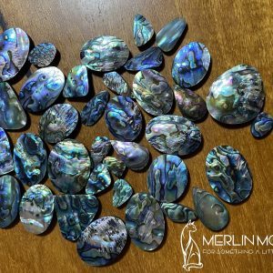 Paua