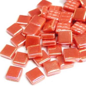 Callistemon Pearl - 12mm Square