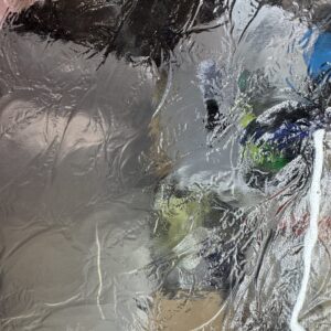 Clear Fernlite - FULL - Image 3