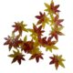 Autumn Leaves - Resin