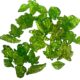 Green Leaves